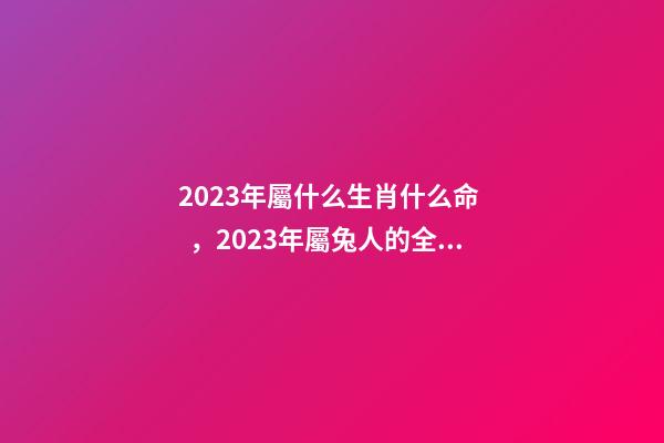 2023年屬什么生肖什么命，2023年屬兔人的全年運勢詳解 猴年2023年運勢及運程-第1張-觀點-玄機派
